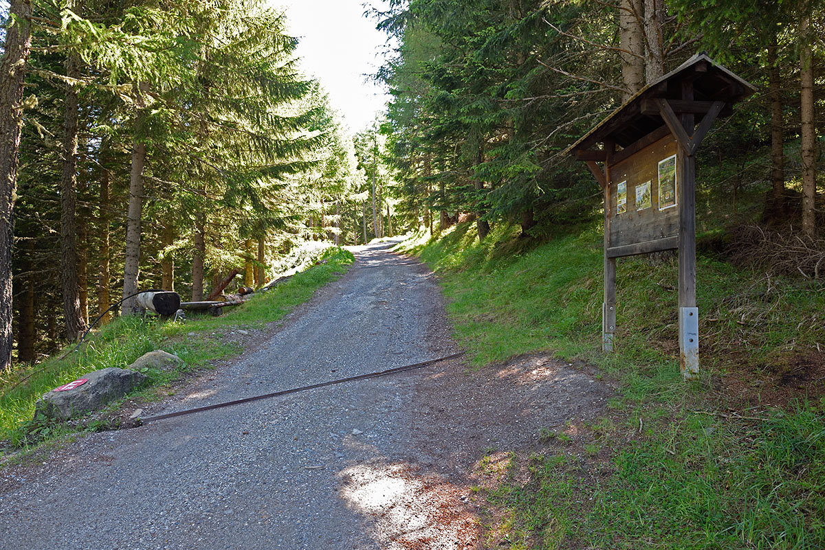 Sentiero Malghe Naturno