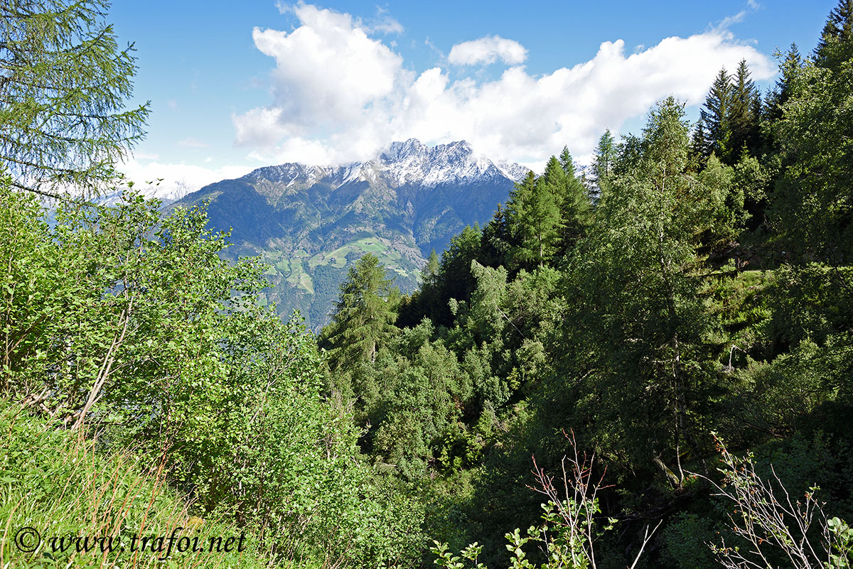 Sentiero Malghe Naturno