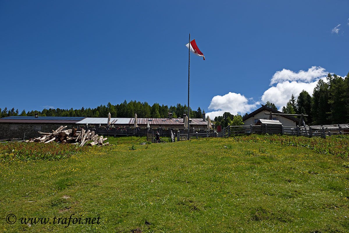 Sentiero Malghe Naturno