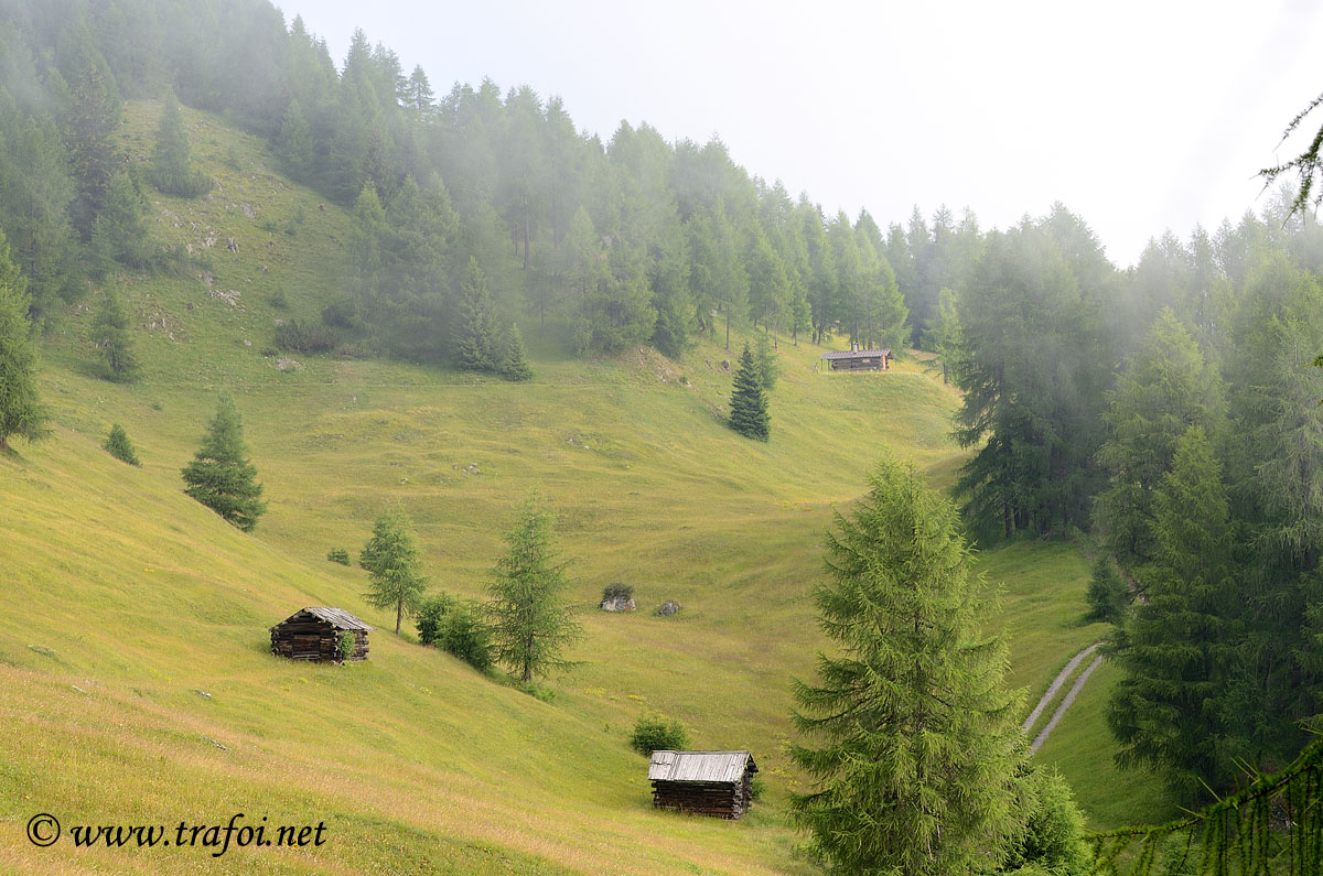 ../Escursioni2/Resia/12268bis.jpg