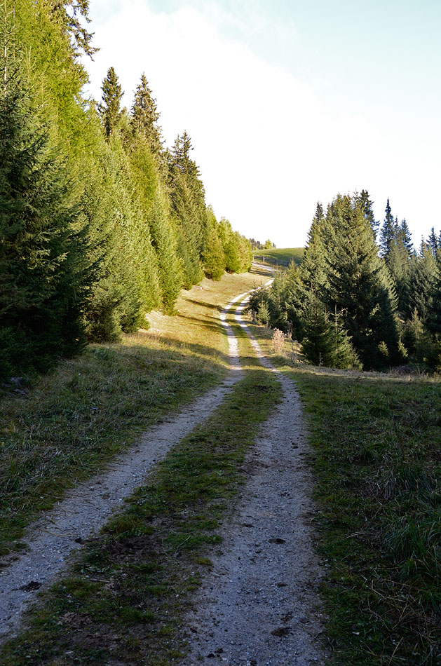 ../Escursioni2/Resia/17727.jpg
