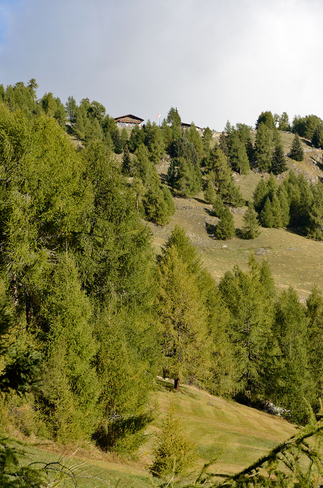 ../Escursioni2/Resia/17736.jpg