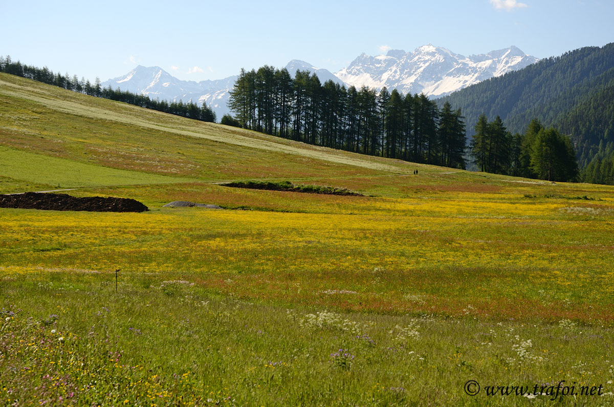 Fotografie escursione Rifugio Sesvenna