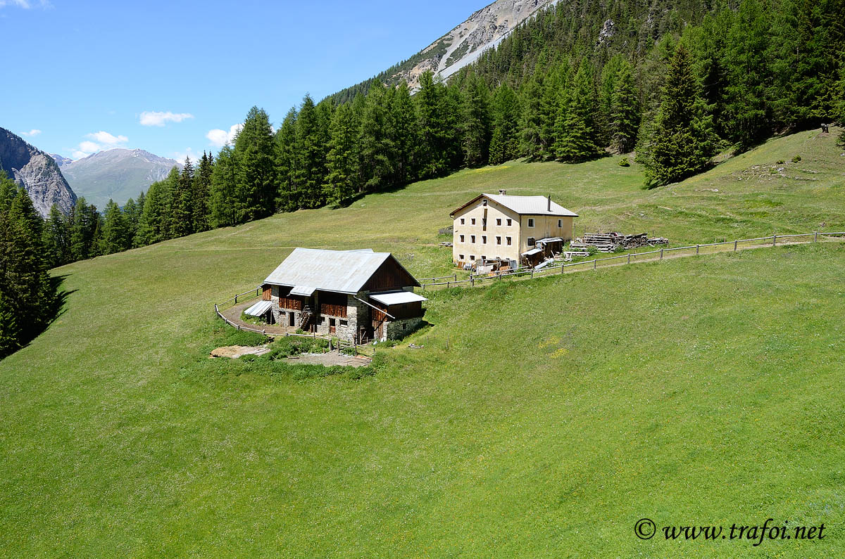 Fotografie escursione Rifugio Sesvenna