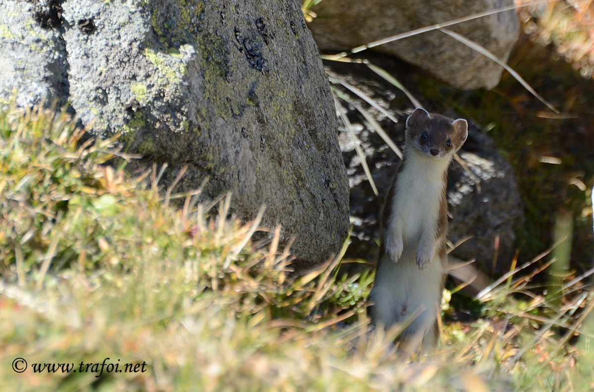 Fotografie escursione Rifugio Sesvenna