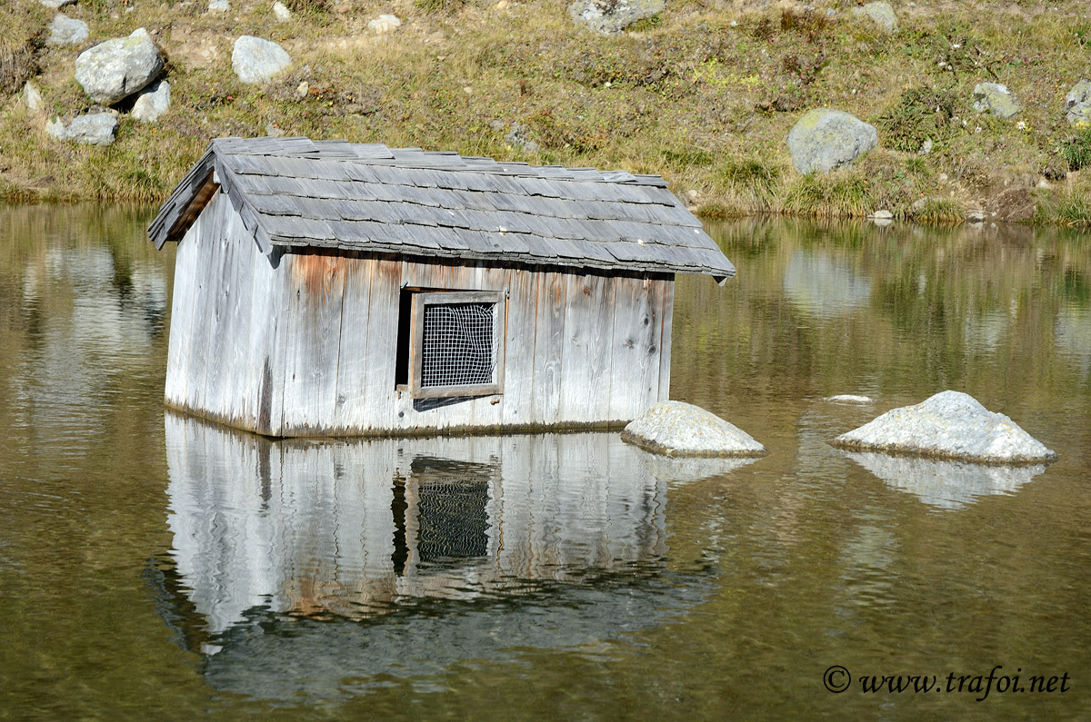 Fotografie escursione Rifugio Sesvenna