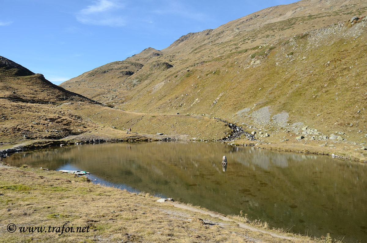 Fotografie escursione Rifugio Sesvenna