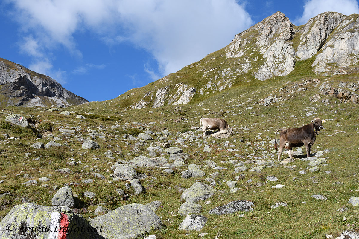Fotografie escursione Lago Furcia - Slingia (Bz)