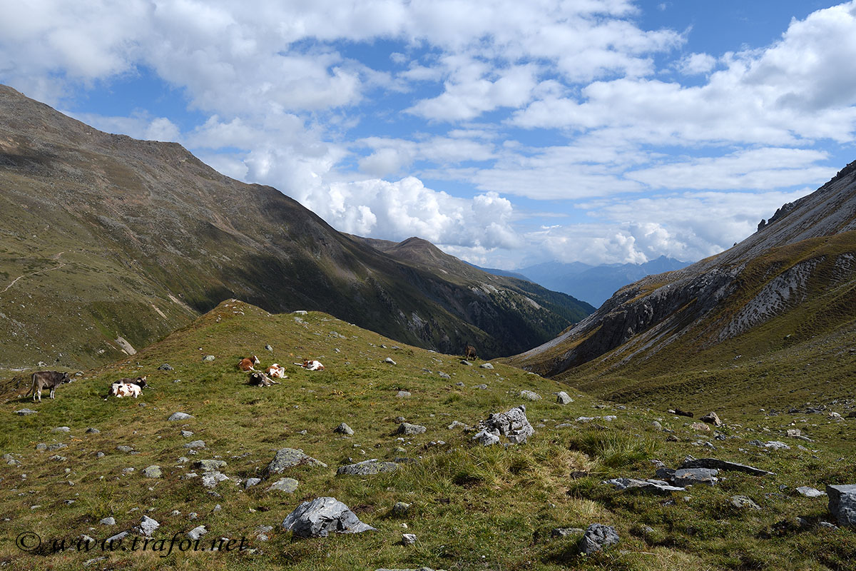 Fotografie escursione Lago Furcia - Slingia (Bz)