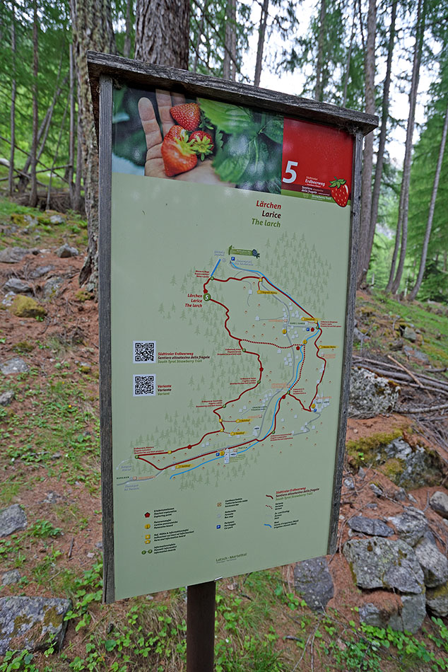 Laghi Flim - Val Martello (Bz)