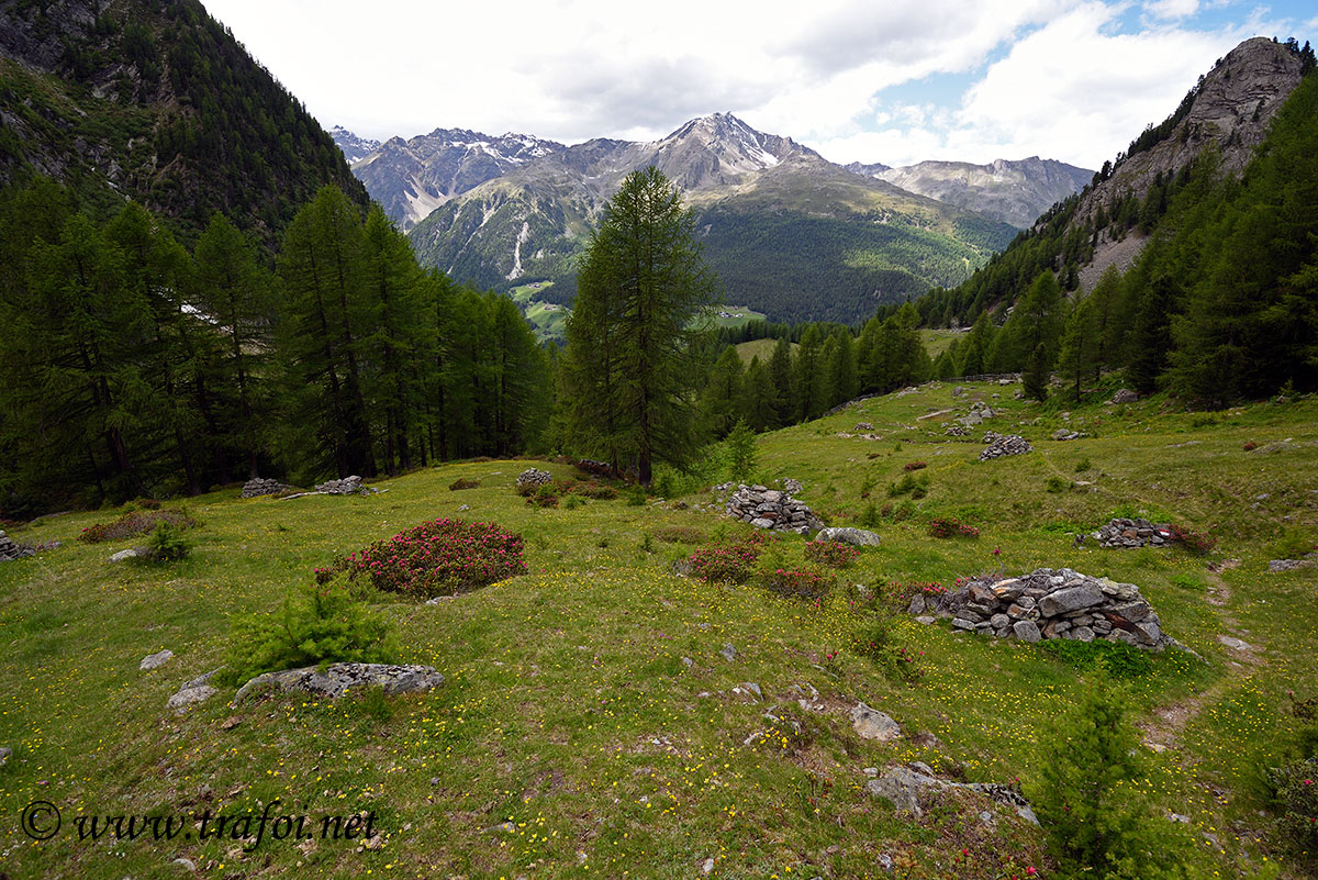 Laghi Flim - Val Martello (Bz)
