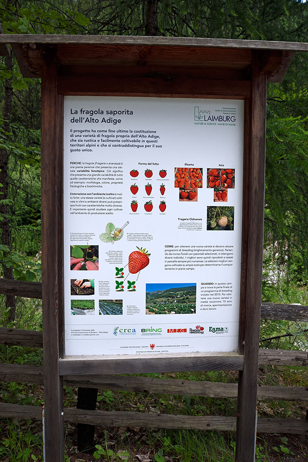 Laghi Flim - Val Martello (Bz)