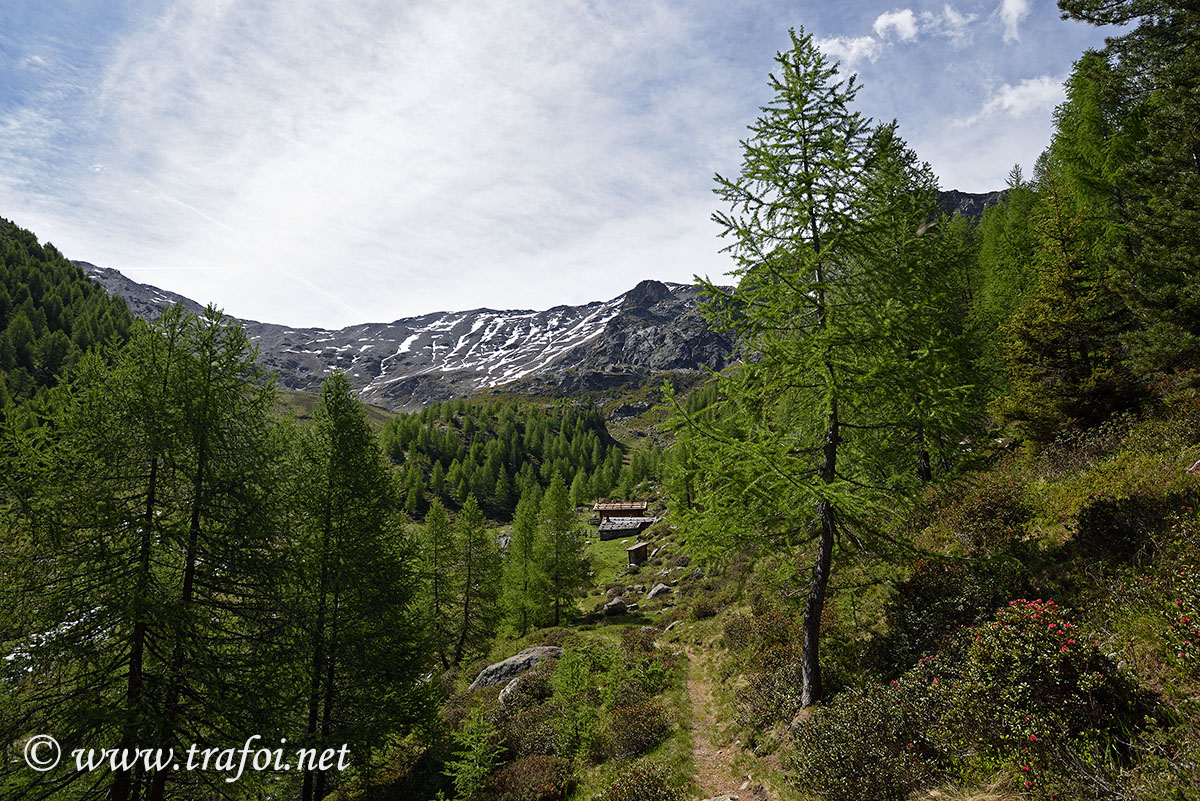 Laghi Flim - Val Martello (Bz)