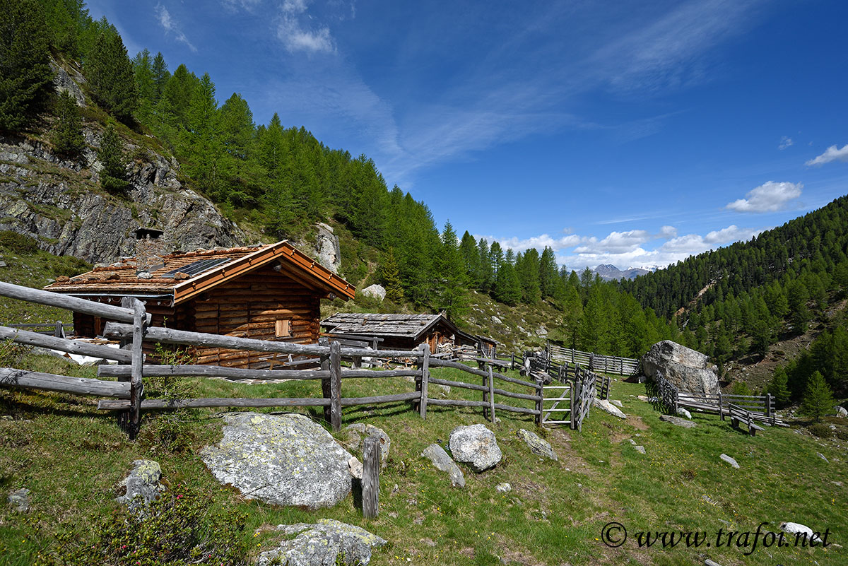 Laghi Flim - Val Martello (Bz)