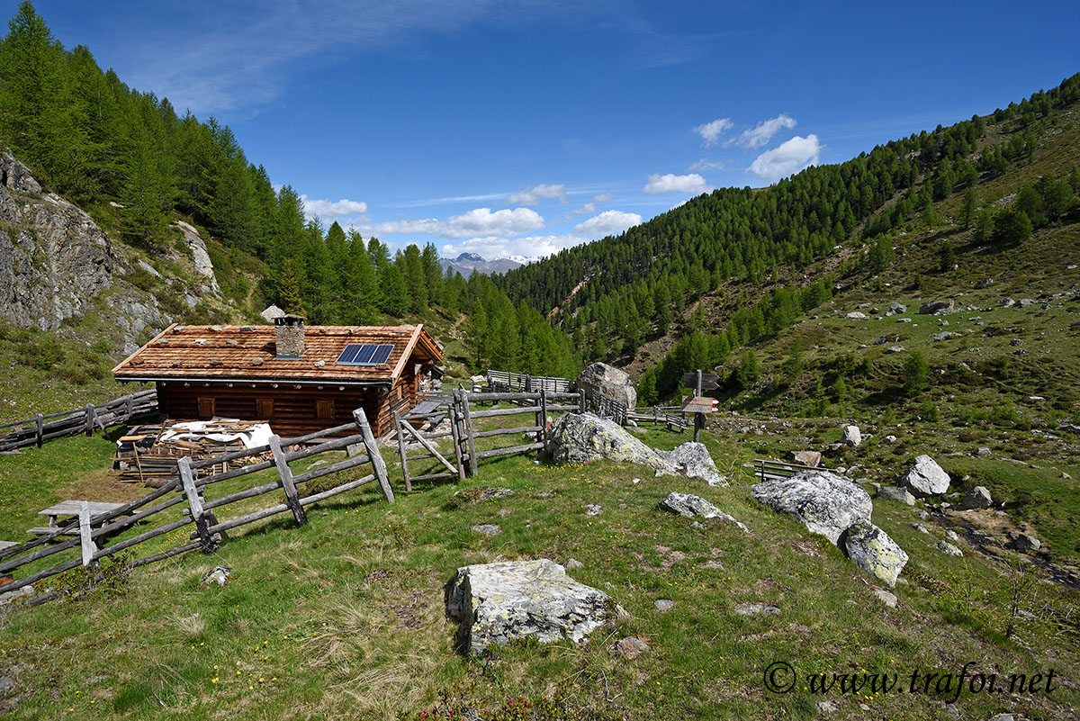 Laghi Flim - Val Martello (Bz)