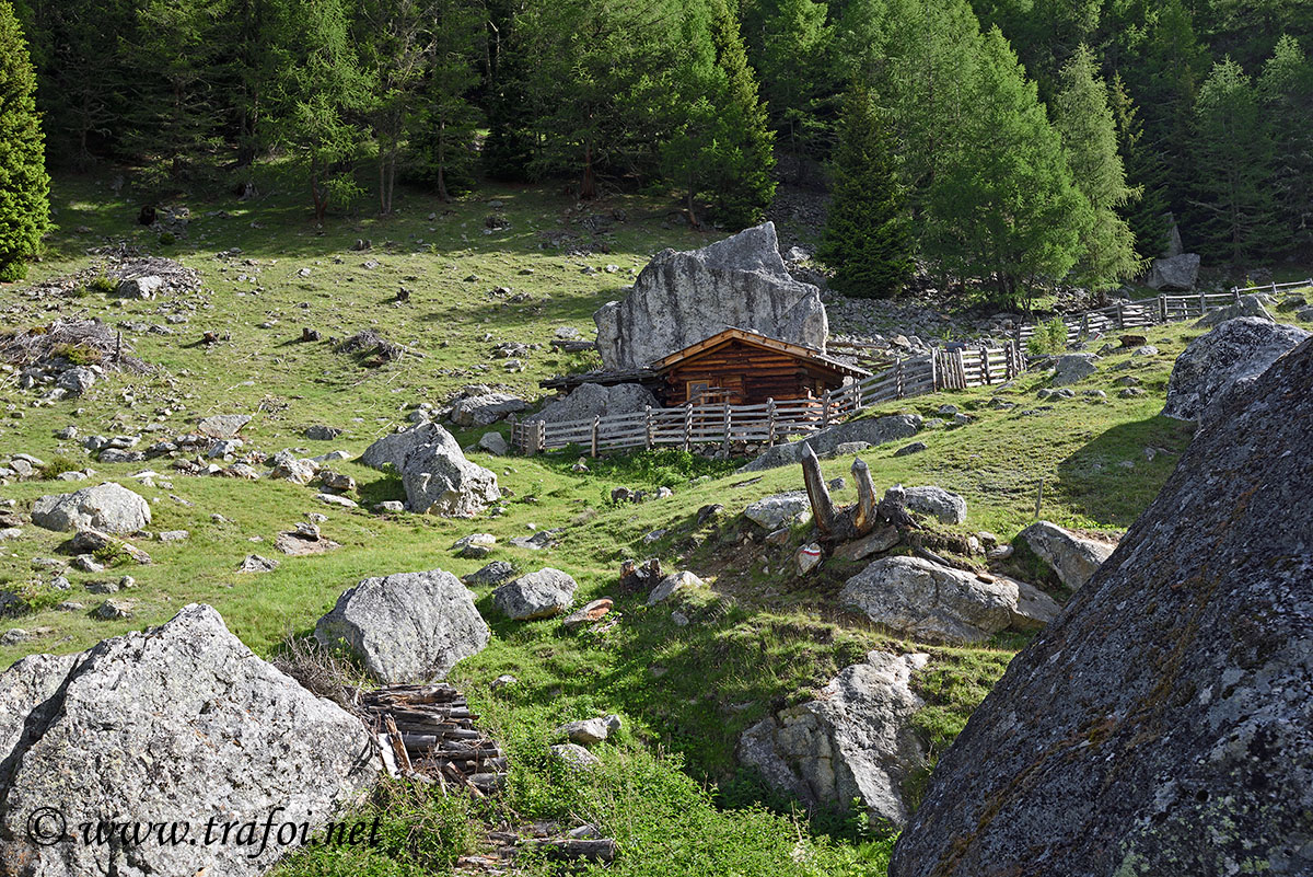 Laghi Flim - Val Martello (Bz)