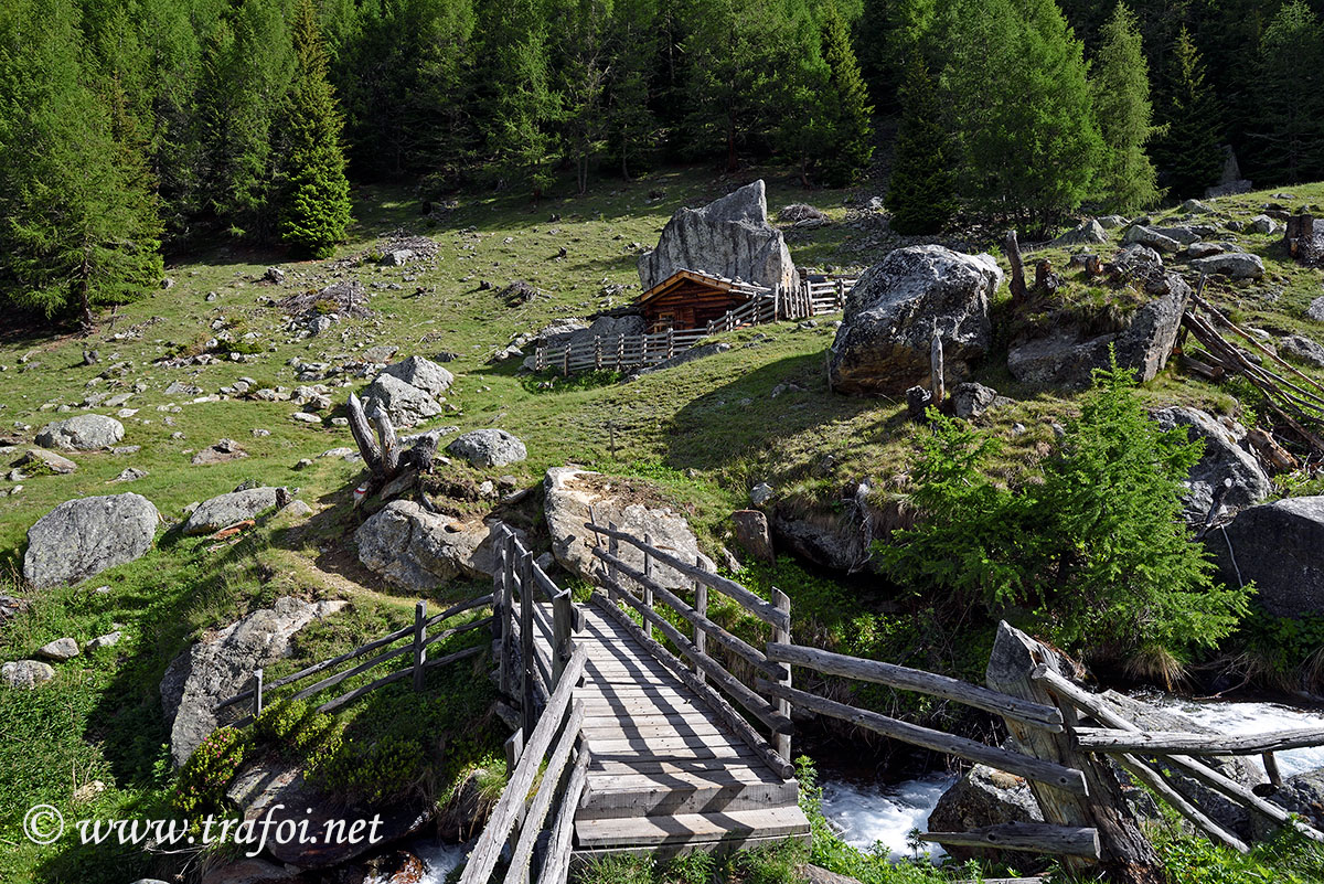 Laghi Flim - Val Martello (Bz)