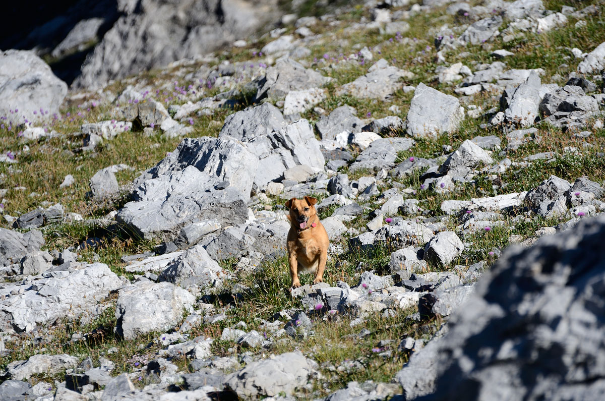 ../Escursioni2/Valle_Vitelli/14890bis.jpg