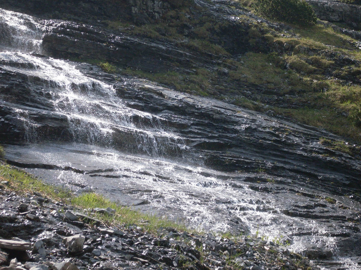 ../Foto/Foto_AndreaB/SDC11612.jpg