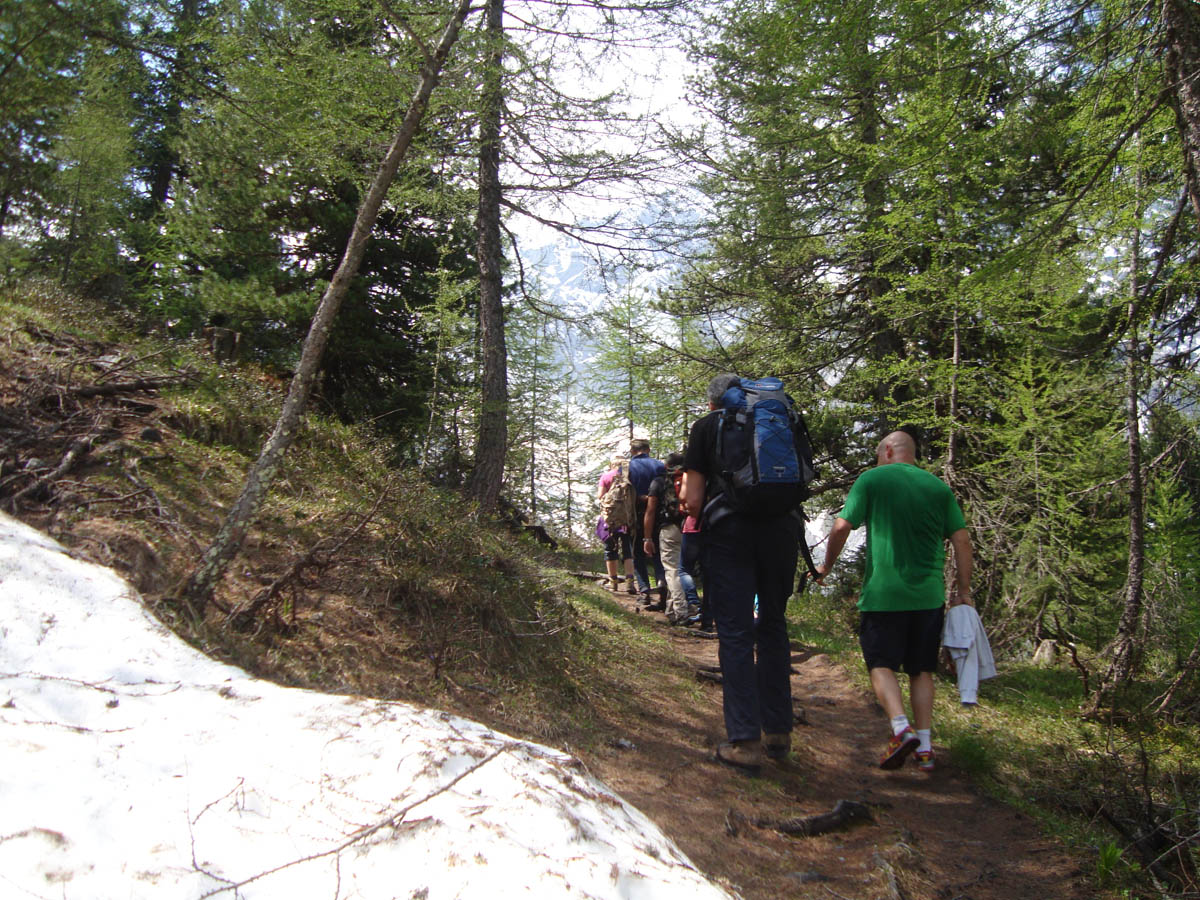 ../Foto/Foto_AndreaG/09565.jpg