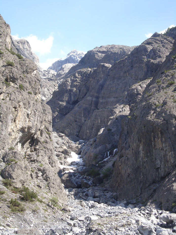 ../Foto/Foto_AndreaG/09589.jpg