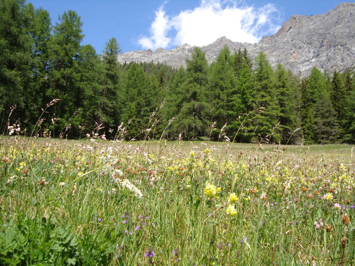 ../Foto/Foto_AndreaG/DSC00002.jpg