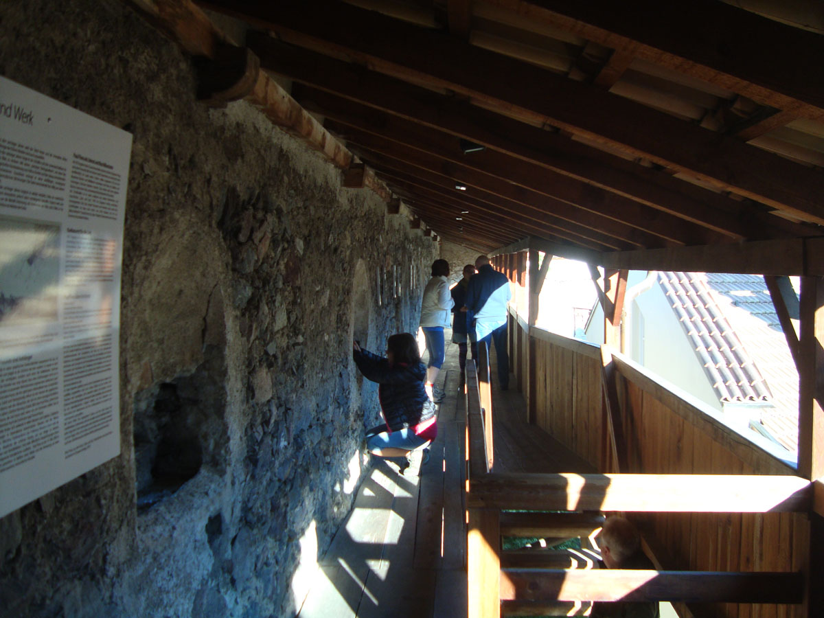 ../Foto/Foto_AndreaG/DSC09926.jpg