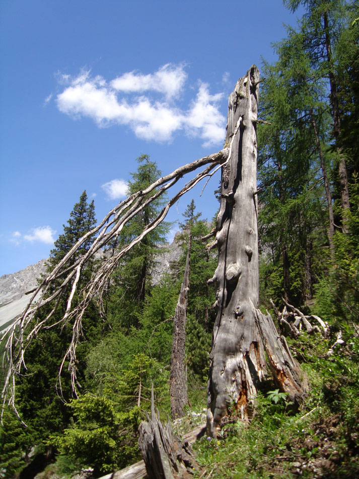 ../Foto/Foto_AndreaG/DSC09996.jpg