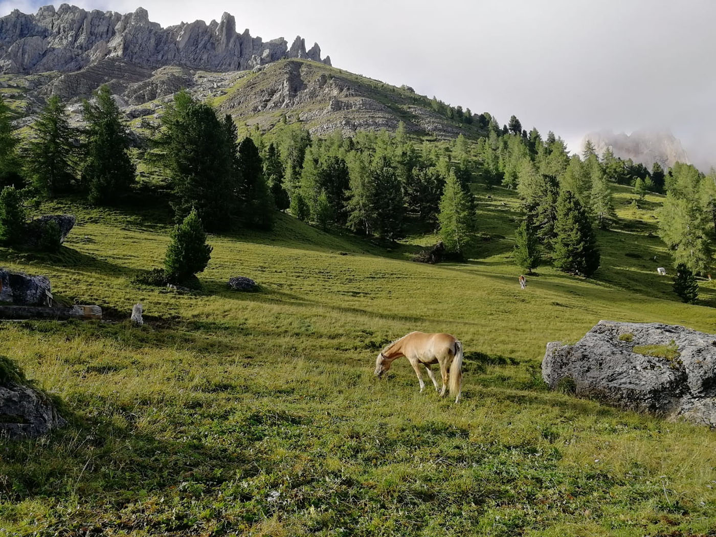 ../Foto/Foto_AndreaG/IMG20250727153728.jpg