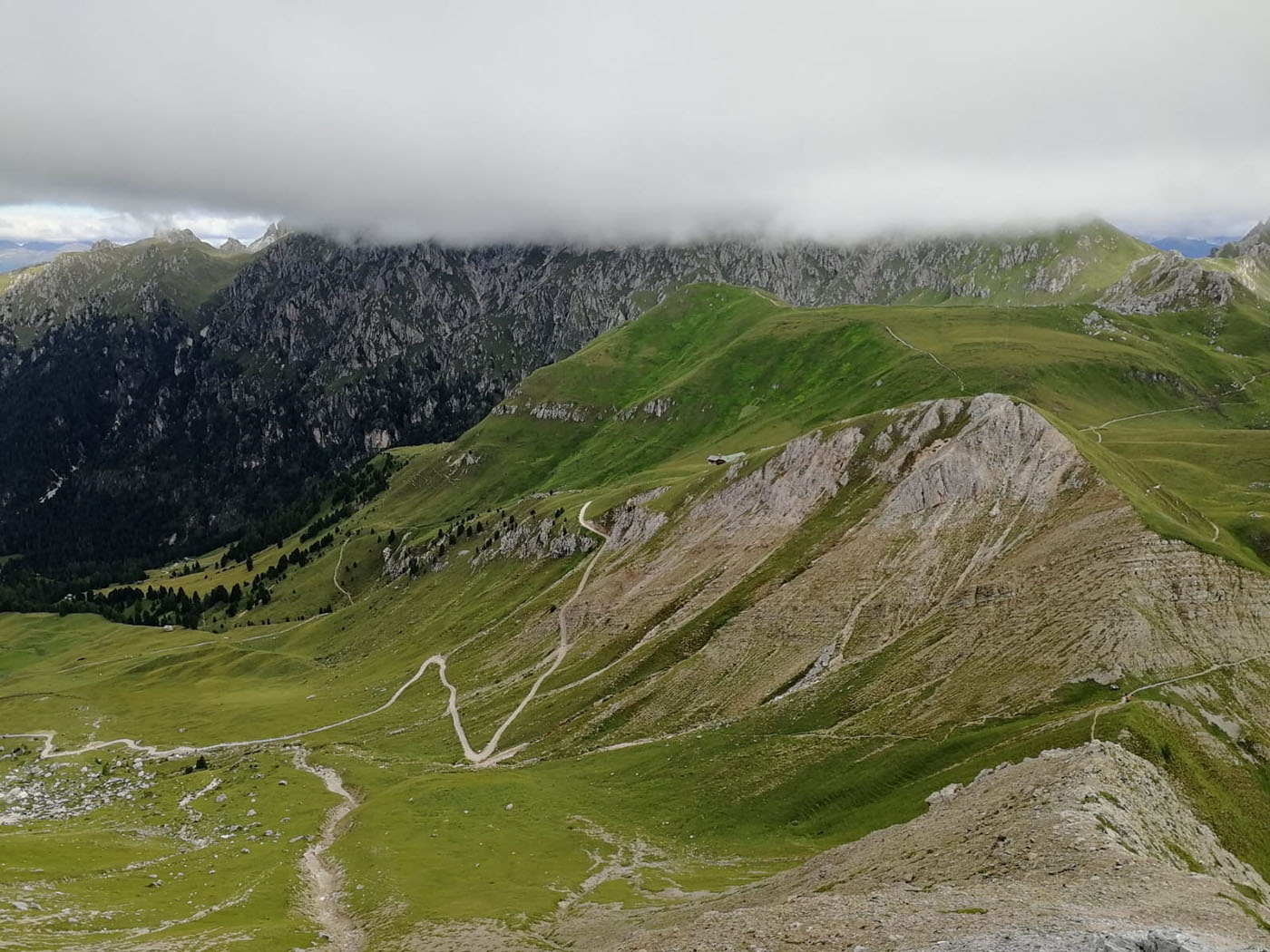 ../Foto/Foto_AndreaG/IMG20250727153738.jpg