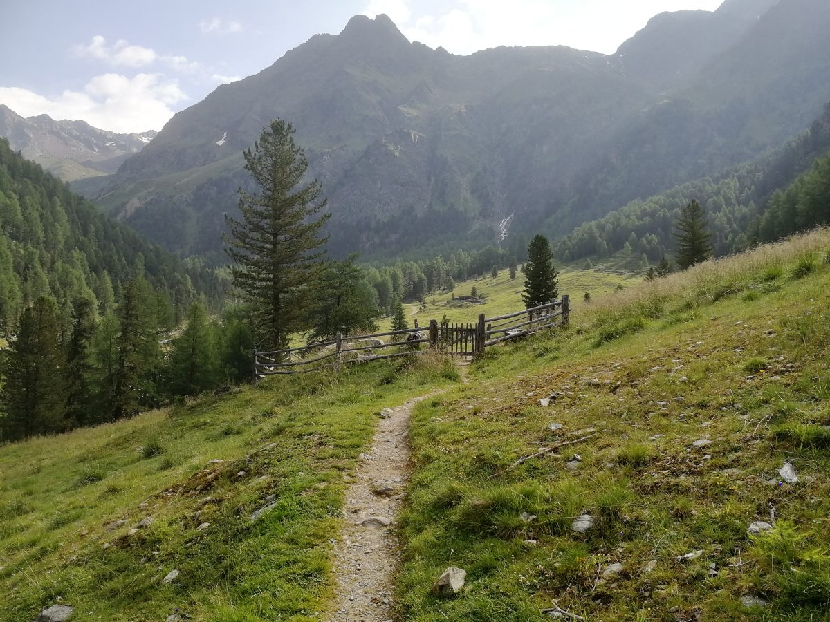 ../Foto/Foto_AndreaG/IMG_091512.jpg