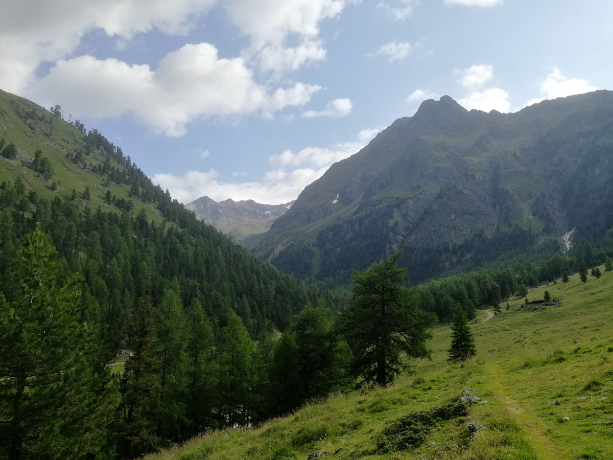 ../Foto/Foto_AndreaG/IMG_091618.jpg