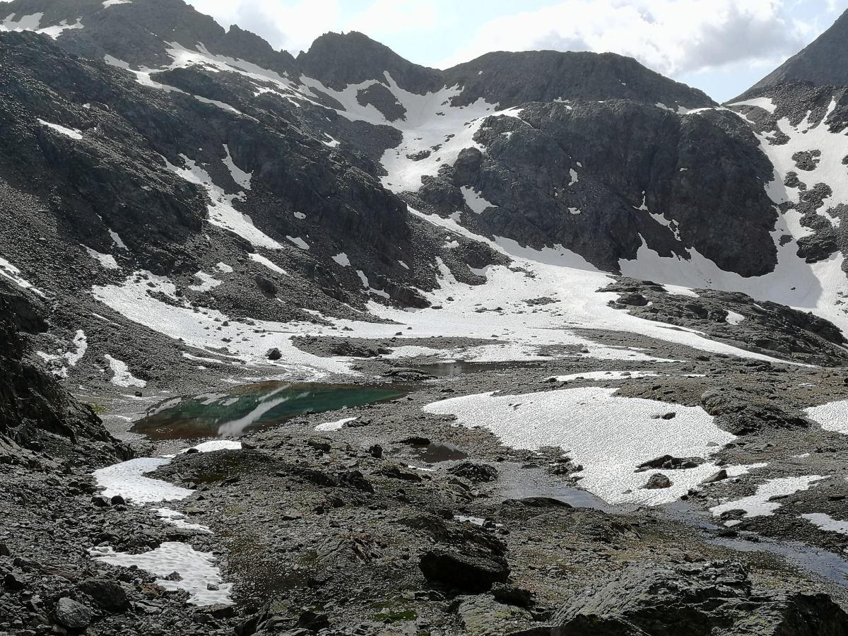 ../Foto/Foto_AndreaG/IMG_095031.jpg