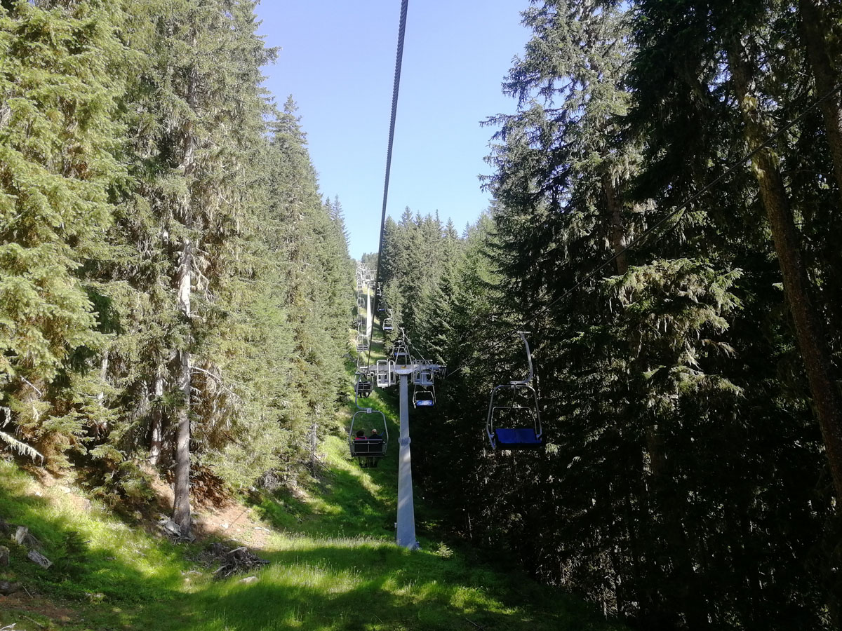 ../Foto/Foto_AndreaG/IMG_100310.jpg