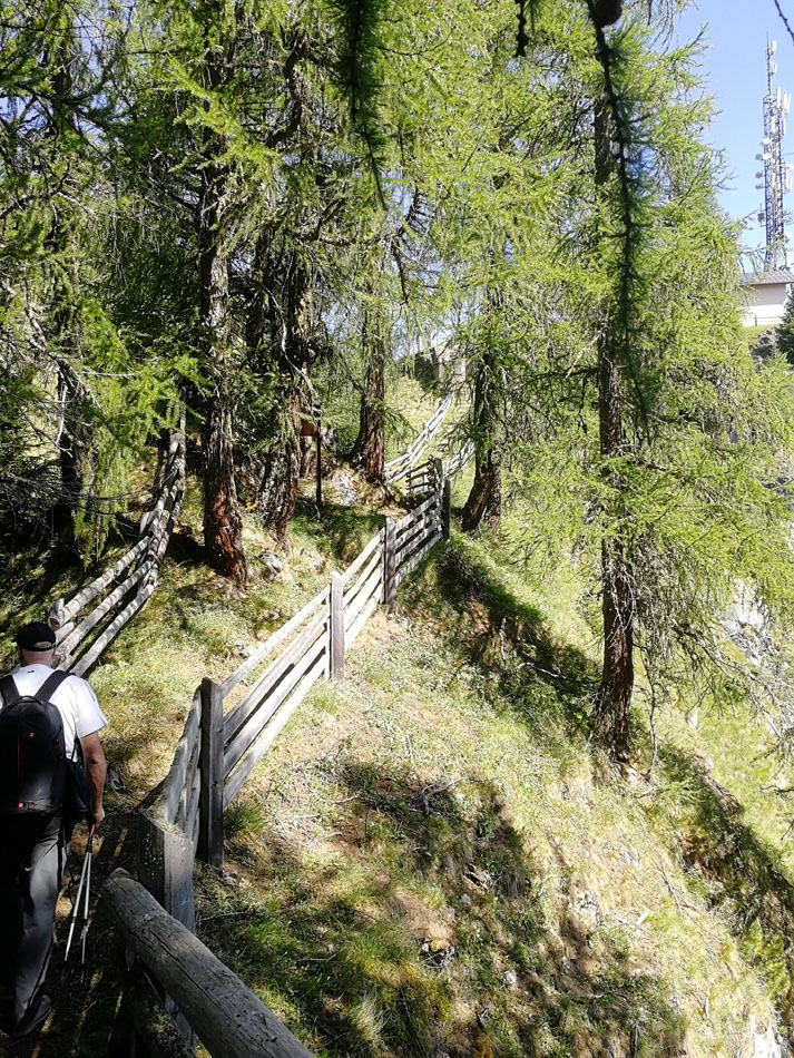 ../Foto/Foto_AndreaG/IMG_110625.jpg