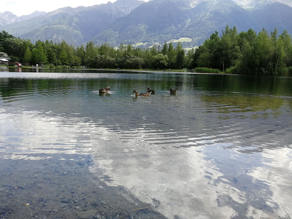 ../Foto/Foto_AndreaG/IMG_144321.jpg