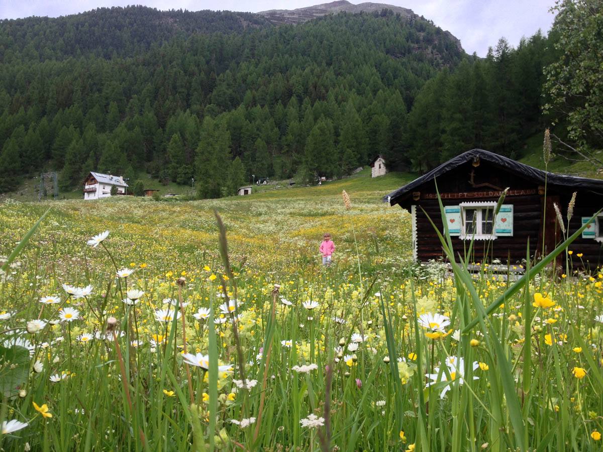 ../Foto/Foto_AndreaG/IMG_2305.jpg