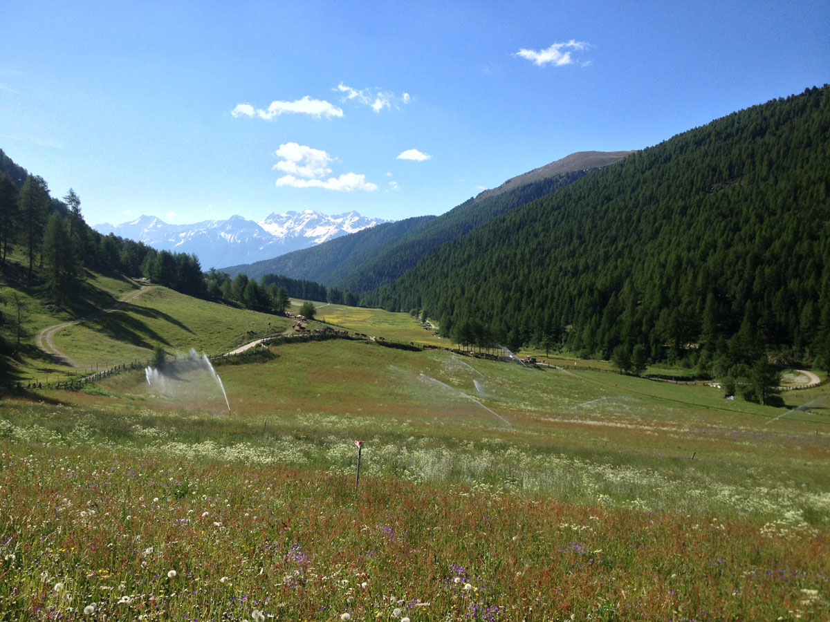 ../Foto/Foto_AndreaG/IMG_2336.jpg