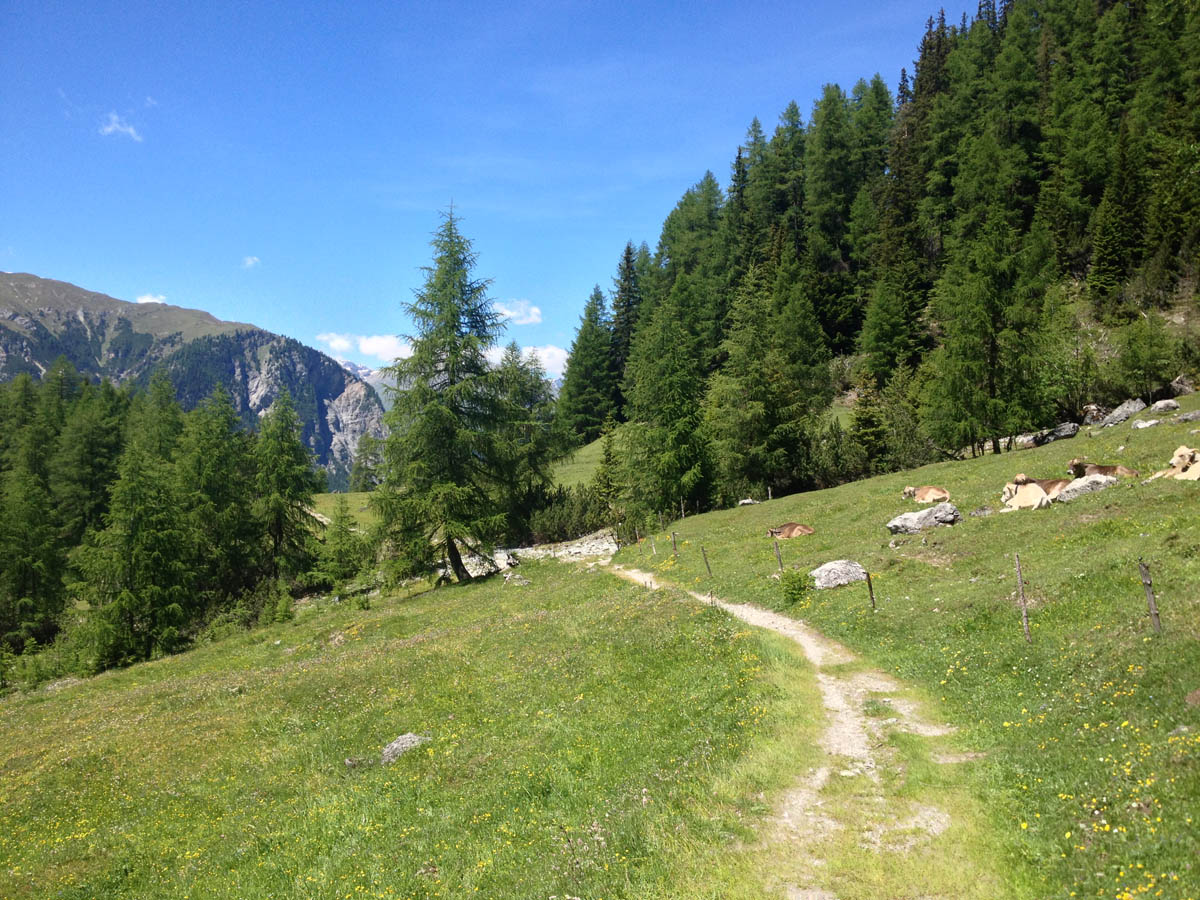 ../Foto/Foto_AndreaG/IMG_2361.jpg