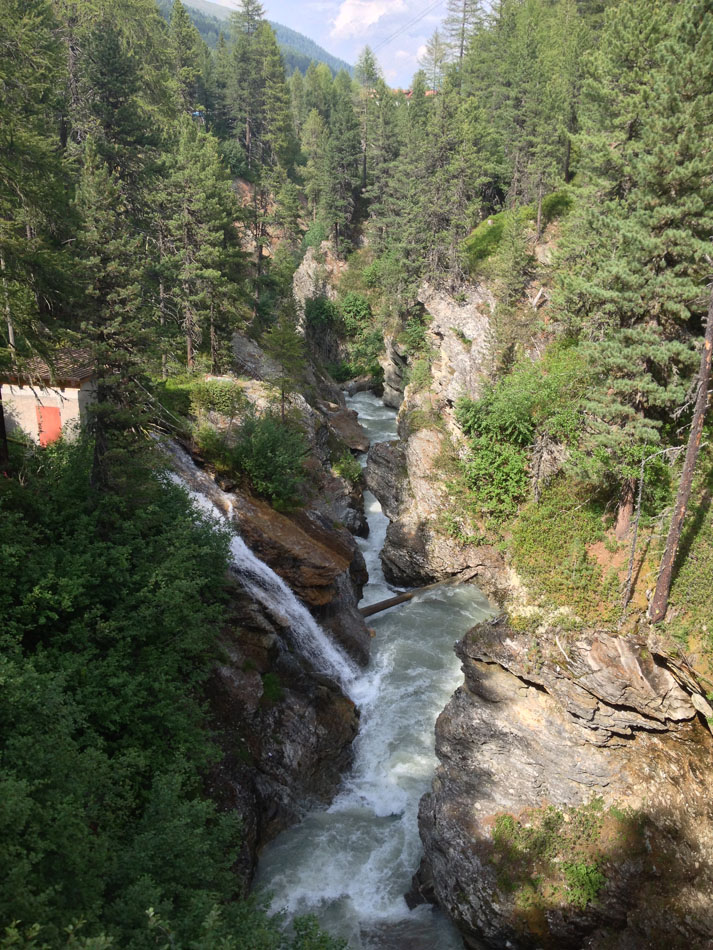 ../Foto/Foto_AndreaG/IMG_6234.jpg