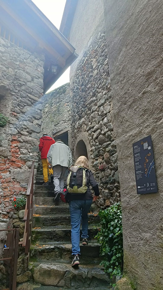 ../Foto/Foto_Federica/IMG20250724103030.jpg