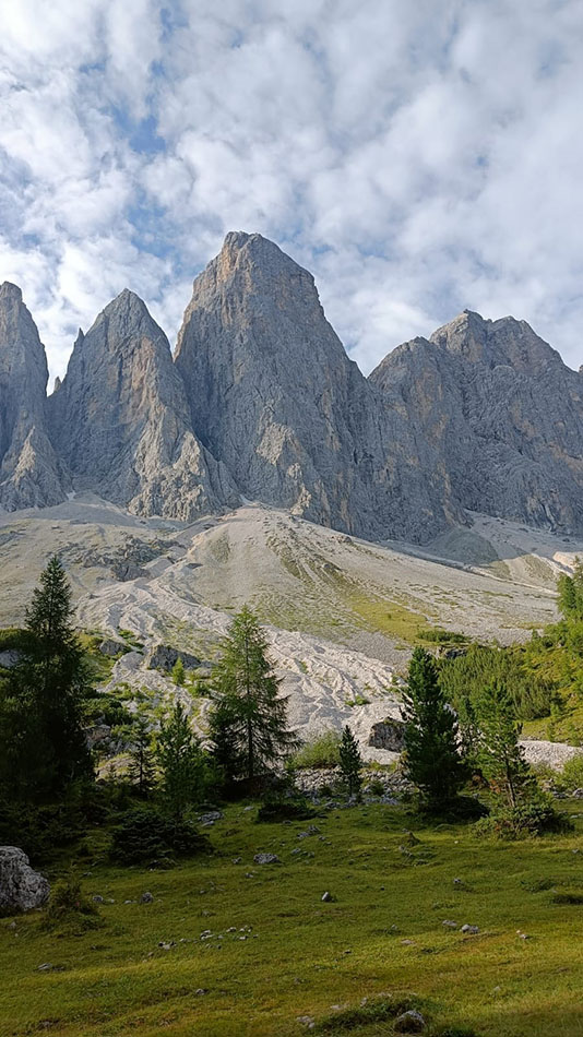 ../Foto/Foto_Federica/IMG20250725103021.jpg