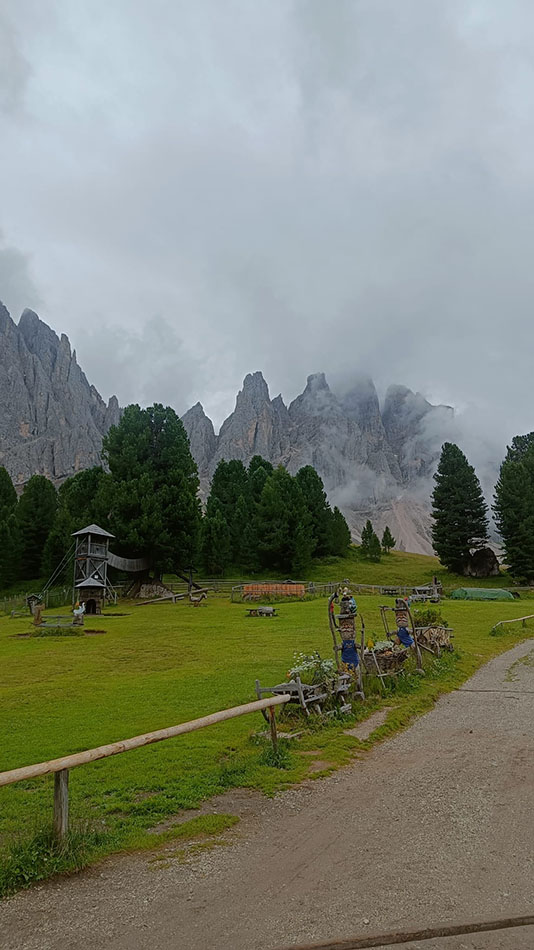 ../Foto/Foto_Federica/IMG20250725103022b.jpg