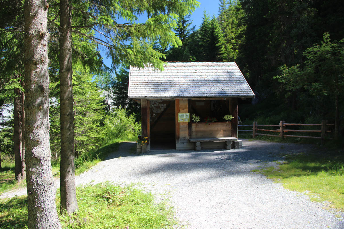 ../Foto/Foto_Giorgio/IMG_8524.jpg