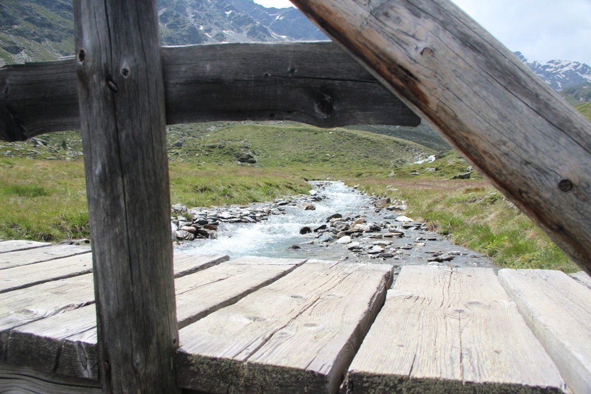 ../Foto/Foto_Giorgio/IMG_8772.jpg