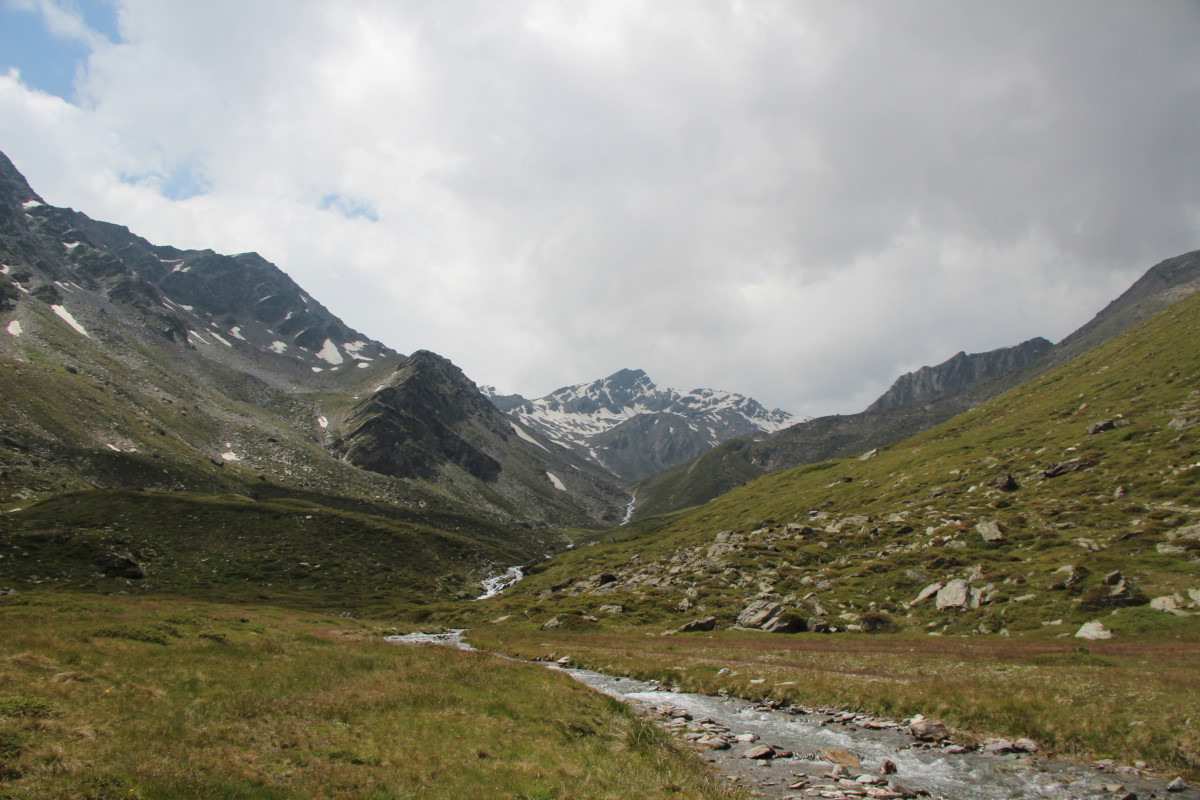 ../Foto/Foto_Giorgio/IMG_8774.jpg