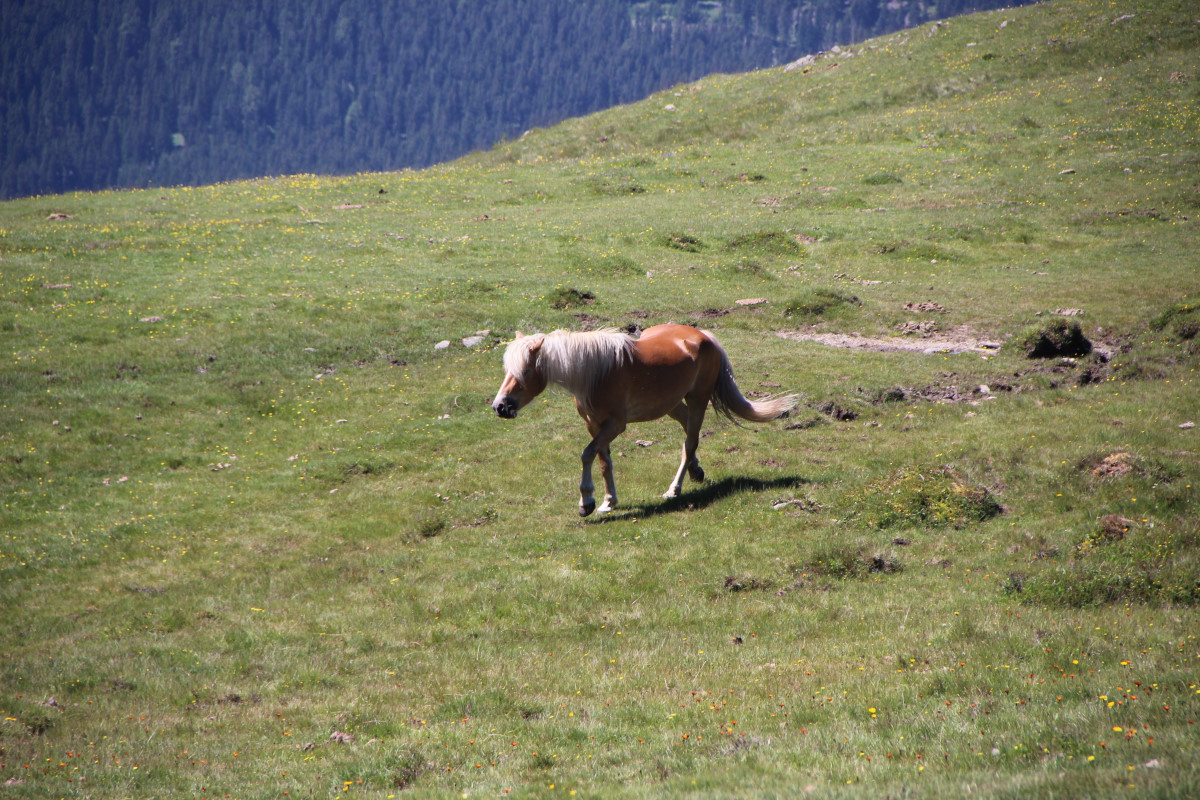 ../Foto/Foto_Giorgio/IMG_9095.jpg