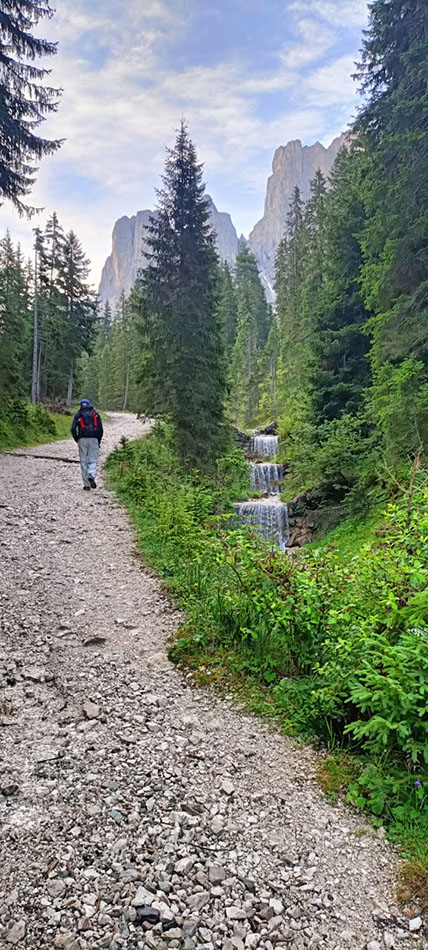 ../Foto/Foto_MarcoF/IMG20250725075050.jpg
