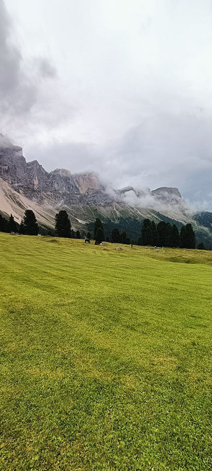 ../Foto/Foto_MarcoF/IMG20250725081267.jpg
