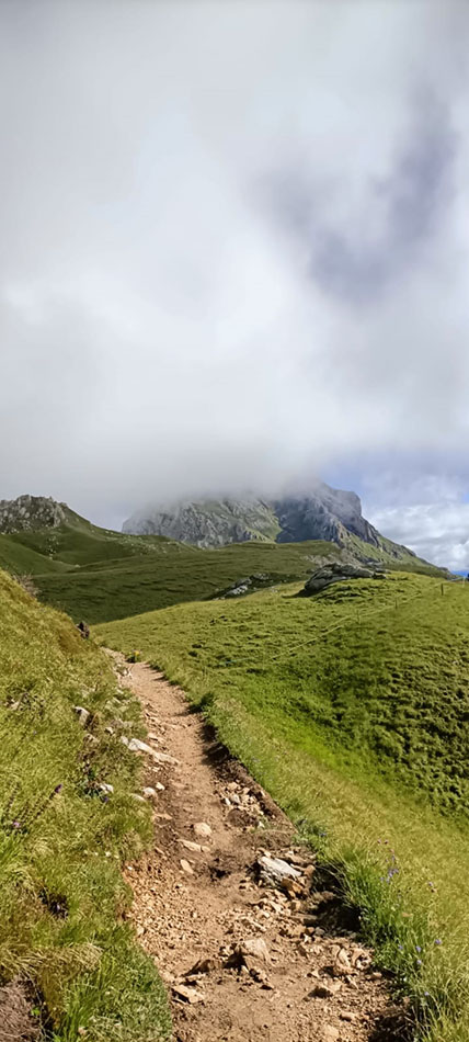 ../Foto/Foto_MarcoF/IMG20250727081262.jpg
